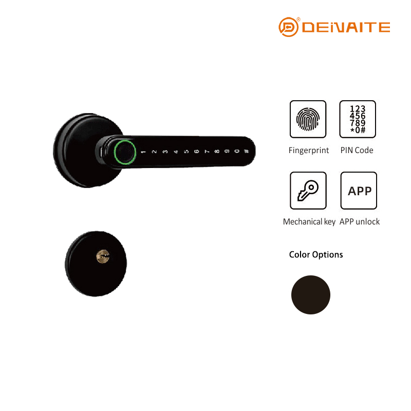 8203 Smart Lock con palanca
