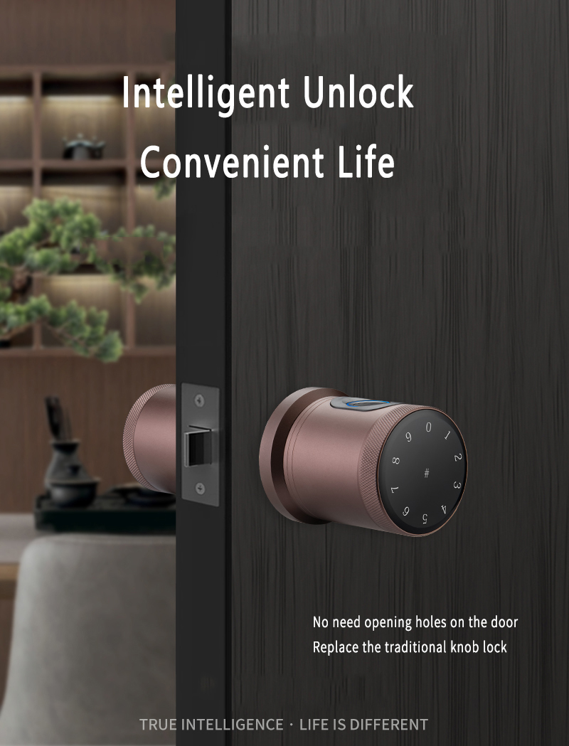 bloqueo inteligente de huellas dactilares