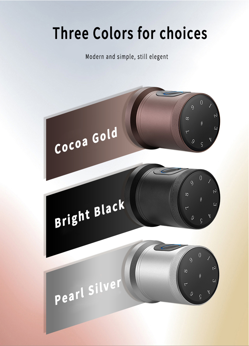 cerradura de la puerta del dormitorio inteligente