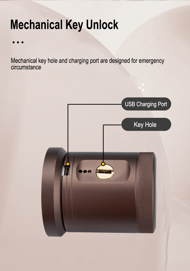 Adecuado para puertas de habitaciones y oficinas.