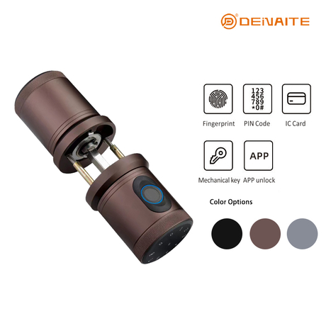 Cerradura inteligente tipo bola X01