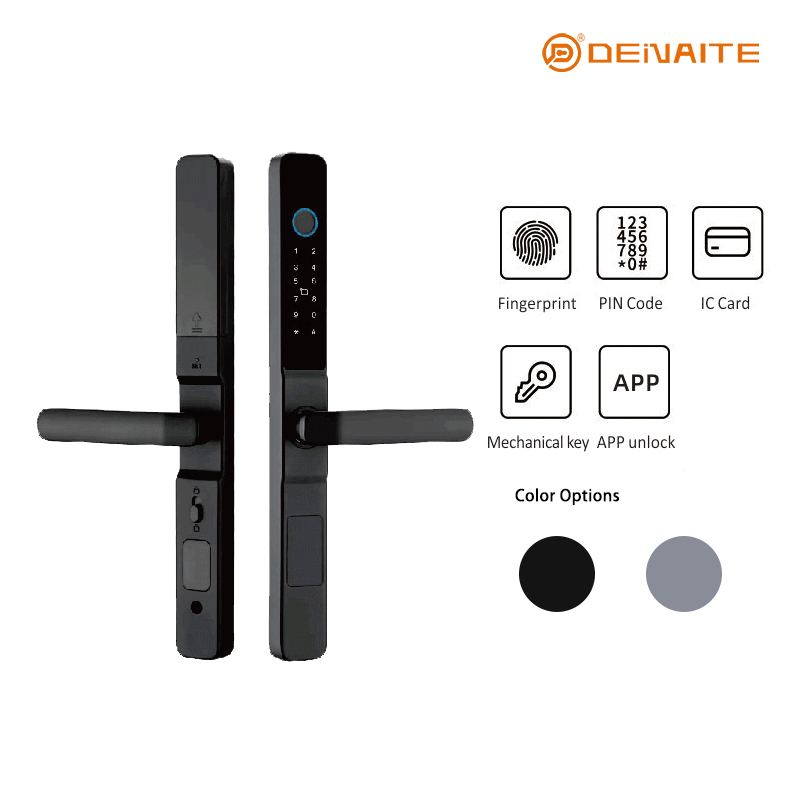 Cerradura inteligente de palanca D01