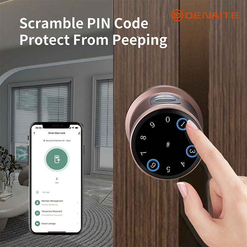 Cerradura inteligente tipo bola X01