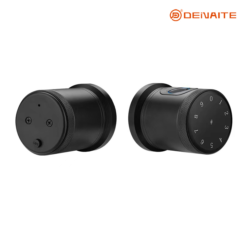 Cerradura inteligente tipo bola X01