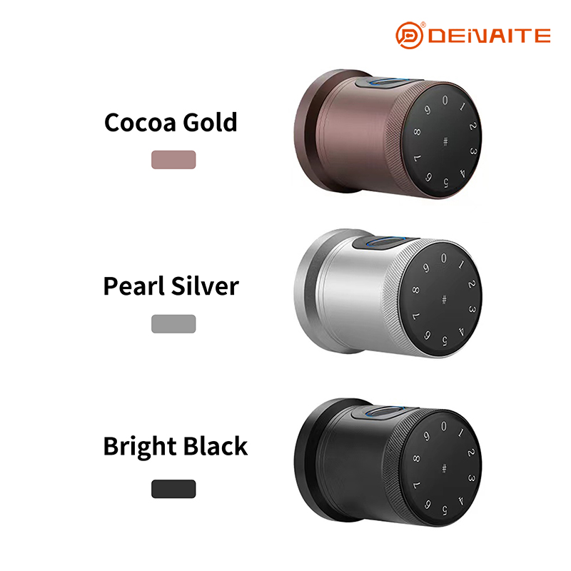 Cerradura inteligente tipo bola X01