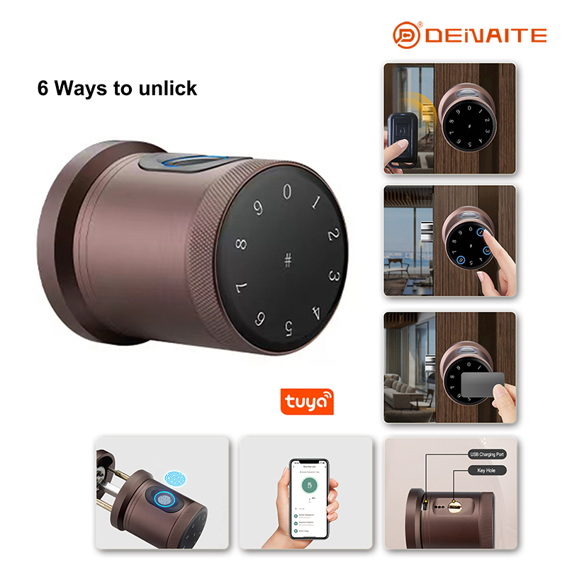 Cerradura inteligente tipo bola X01