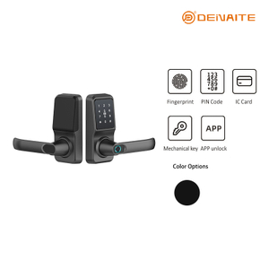 Cerradura de palanca de puerta inteligente Z08